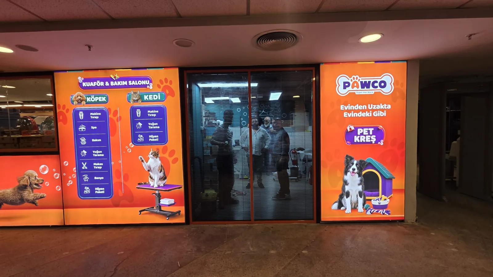 PAWCO Kozzy AVM 3