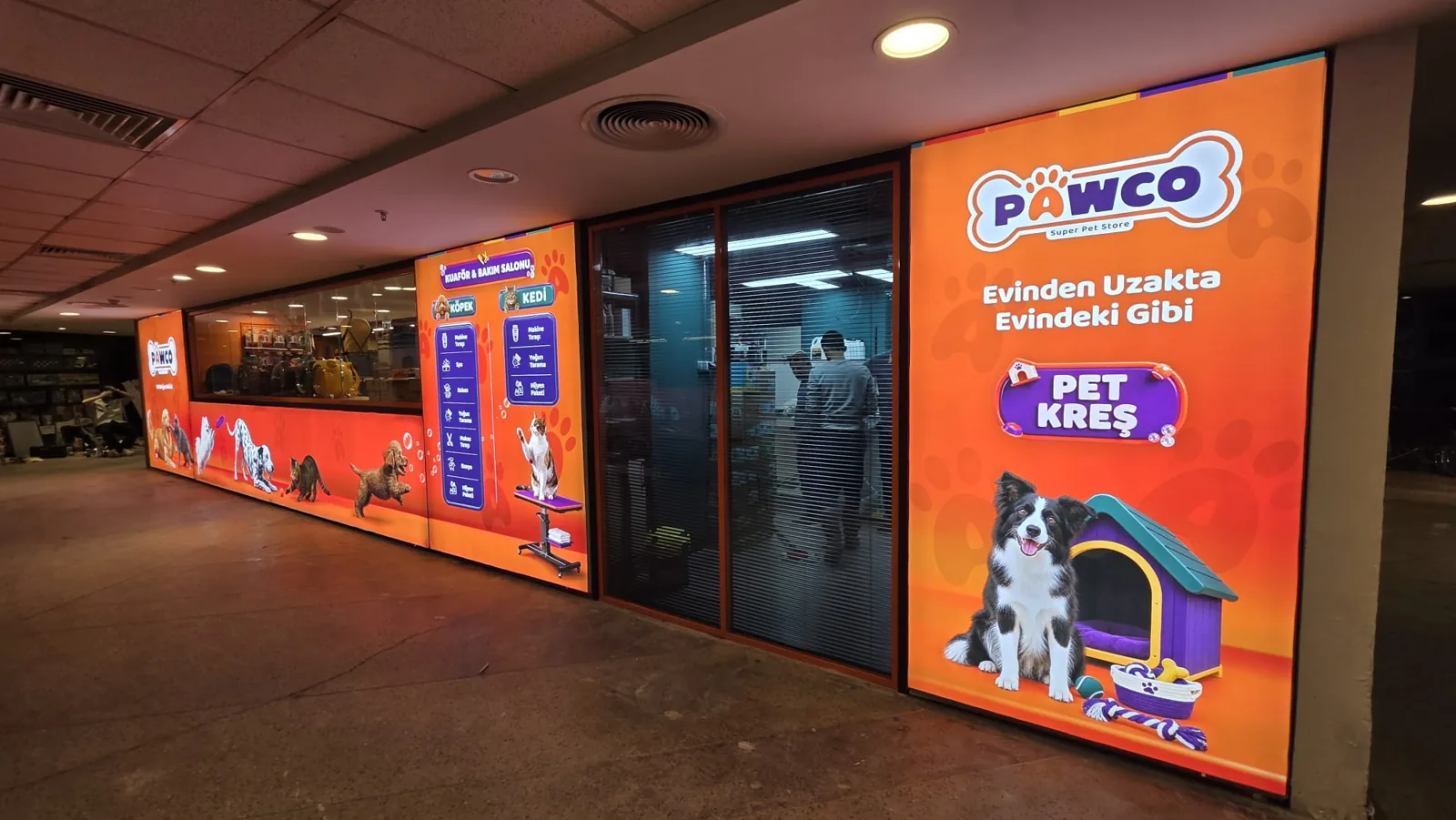 PAWCO Kozzy AVM 4