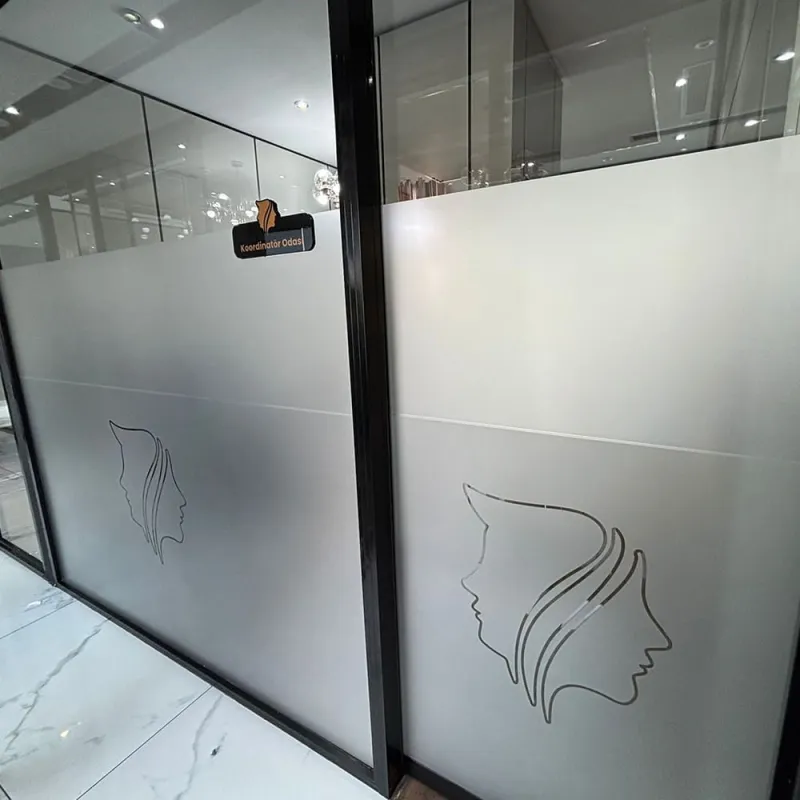 Cam Kumlama Folyo Giydirme 4